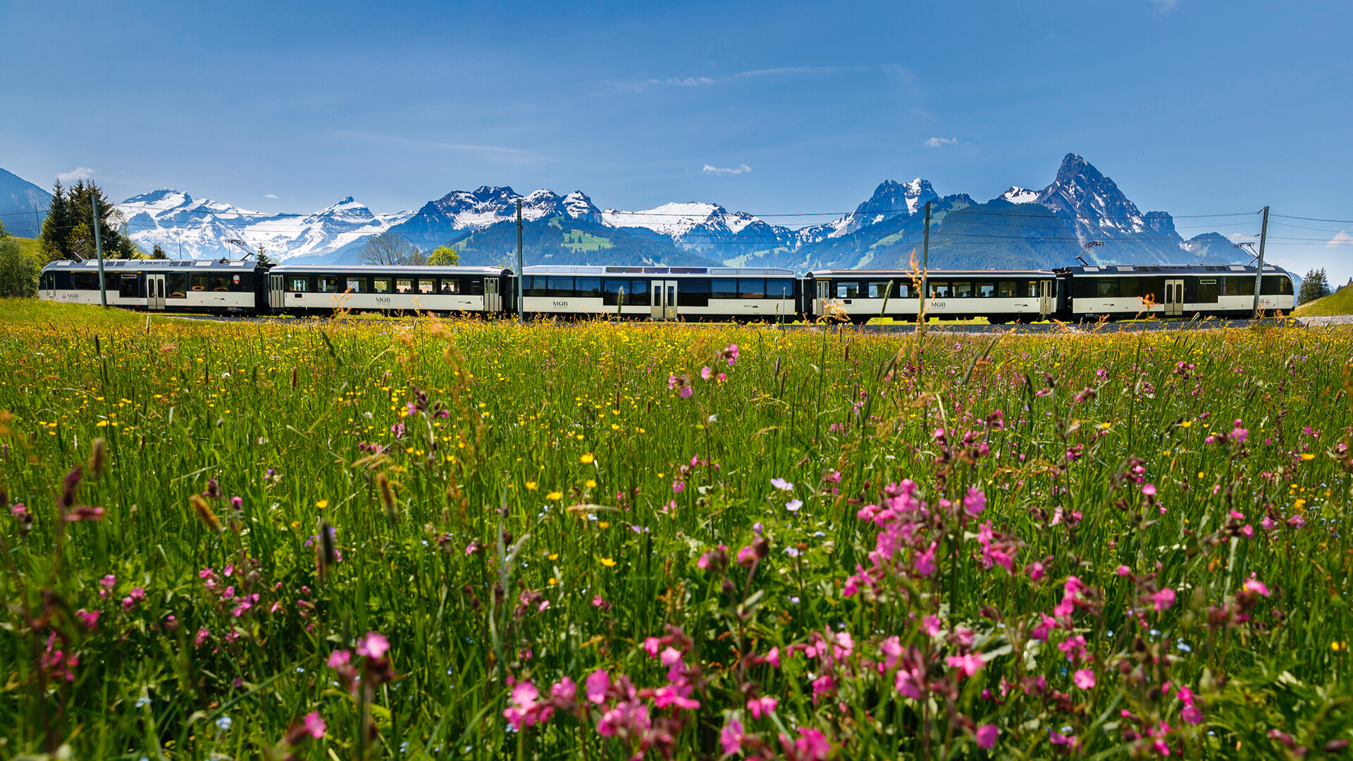 Rochers-de-Naye train and ski day pass